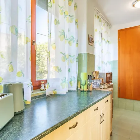 200m To Family House With Garden At Super Location 公寓 巴拉顿菲赖德